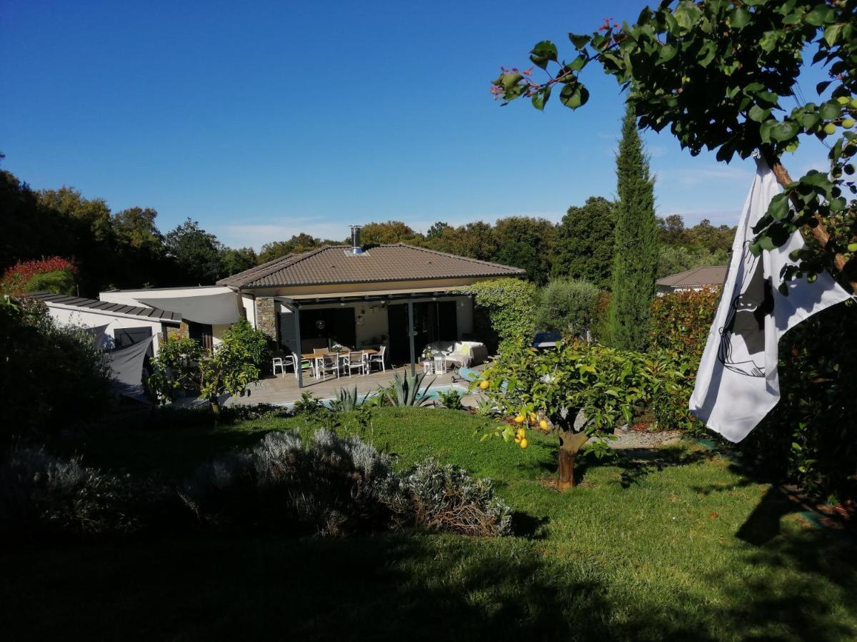 A Sulana Chambre d'hôtes Valle-di-Campoloro Extérieur photo